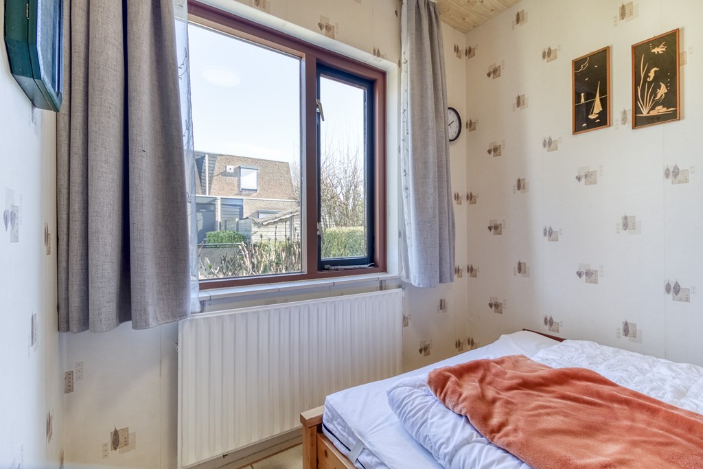 Lamsoor 3b Nieuwvliet-10.jpg